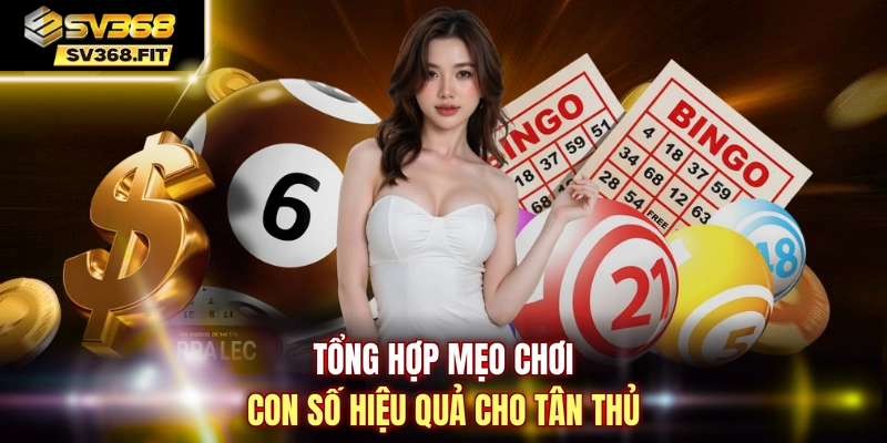 Tổng hợp mẹo chơi con số hiệu quả cho tân thủ